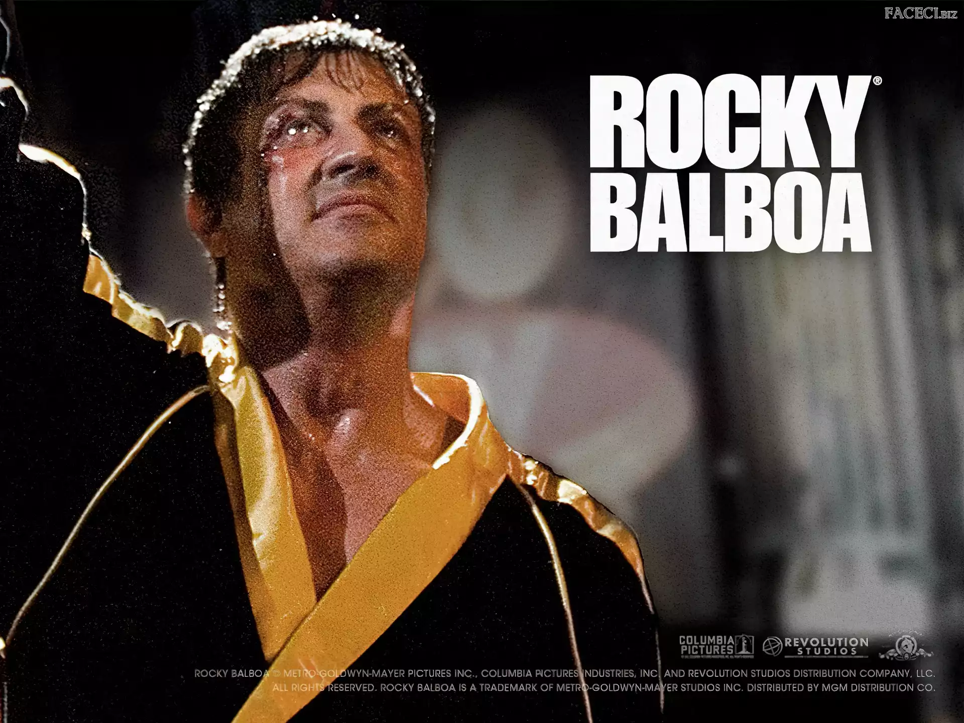 szlafrok, Rocky Balboa, Sylvester Stallone